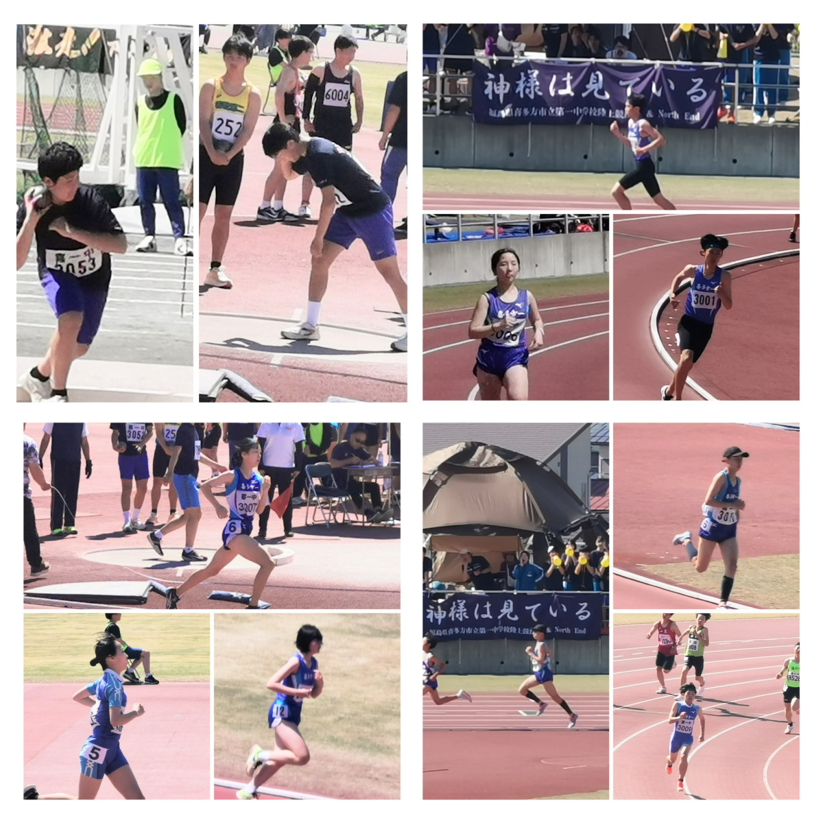 20250513_152006-COLLAGE