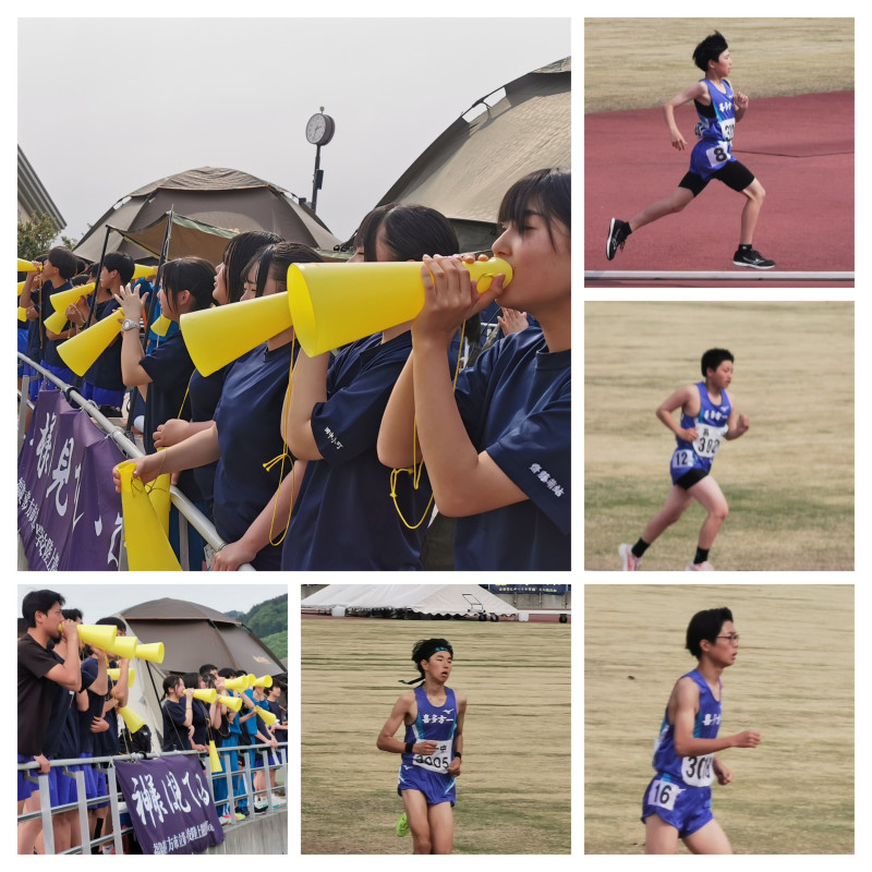 20250514_161801-COLLAGE