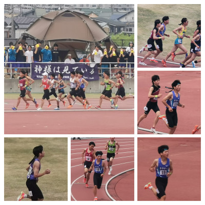 20250515_120025-COLLAGE