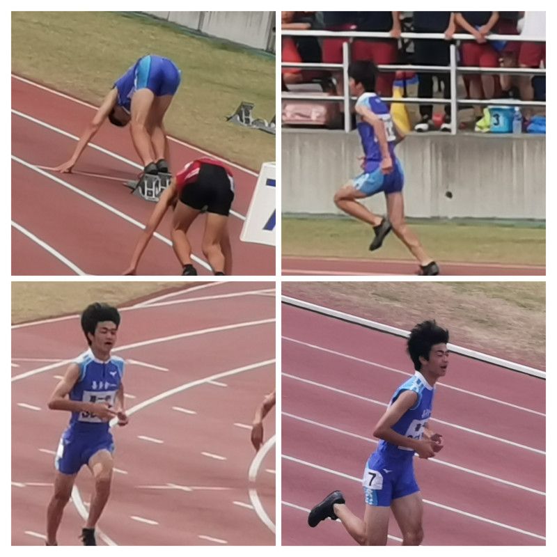 20250515_141024-COLLAGE