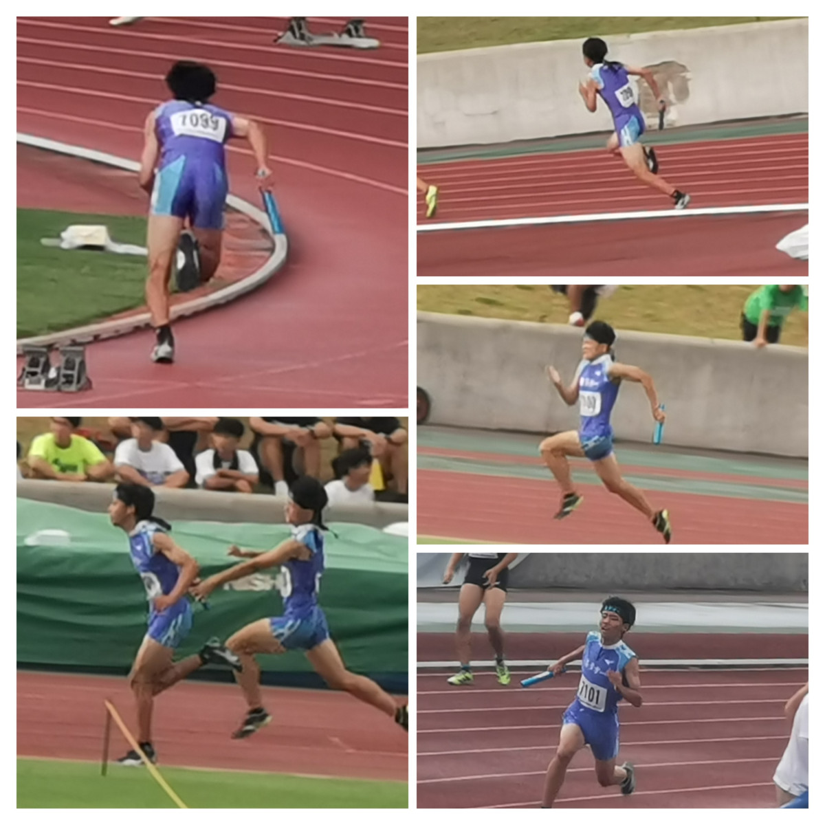 20250806_172746-COLLAGE