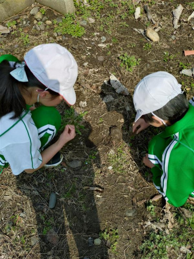 c67d86ef-af39-4a80-9e39-576edf3a7572