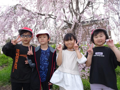 d449c4e8-e43e-48aa-b116-1ecbdd299003