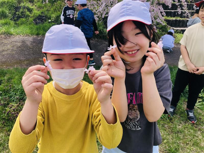 38161ddd-5f52-4075-b4eb-3ed138650be5