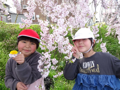 657e4a32-46df-403b-8fe8-c9017f0e734e