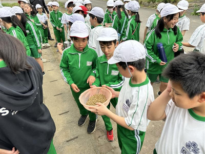 8e9e034b-5156-4a88-b89e-134097ccf7a3