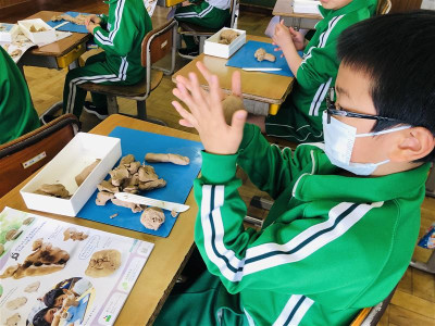 4ee3e91c-e3e1-4746-a634-20c60eae79be