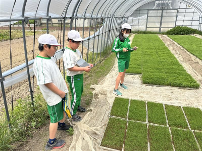 a4022f56-66af-42fa-9e2a-777c9c5ead15