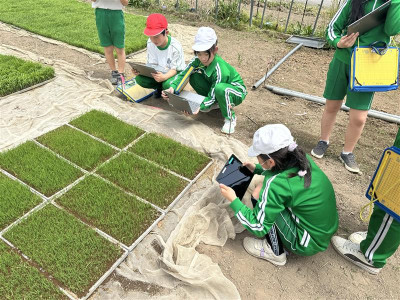 a6686311-ffe1-4970-8dbf-3058c5cb4150