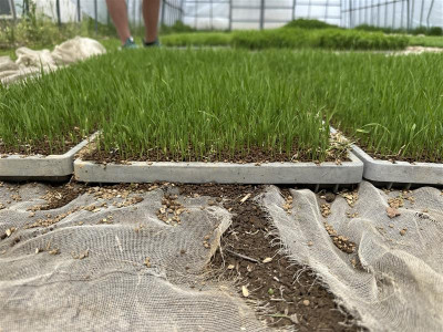 d146d18d-b8b5-4597-a9e2-0fb300333158