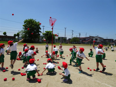 d50c4626-8586-4c01-8717-7ee9c1e384a0