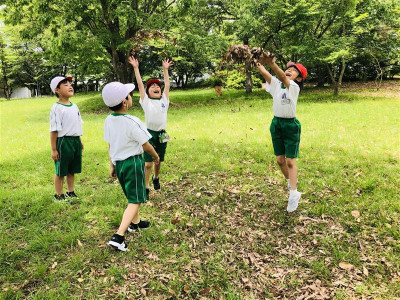 a18d3d42-e232-4d67-a0cf-7e9d0b766bf5