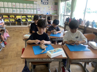 c72f684b-2aae-4995-84e1-1c86125aa59e