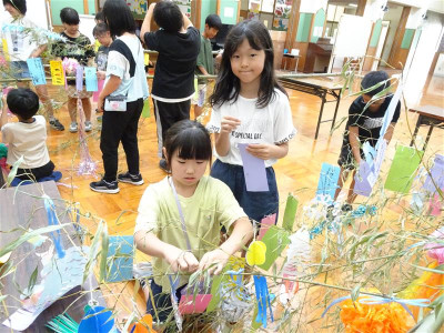 d4c37b4f-9865-4ba1-a178-50b3b5ed381d