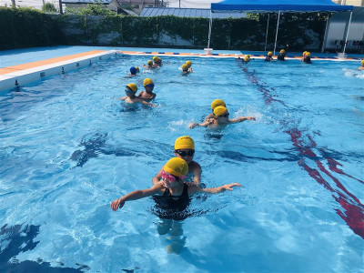 d4bad1aa-2bf2-475c-9efc-d88813c7929f