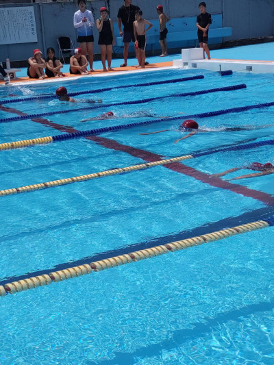 4A1B067CB0CBF42E2BF1C93AD848FD2EE03B51E4