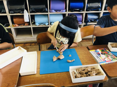 d3f13f3d-46b7-49fb-9410-5b51a50b9af6