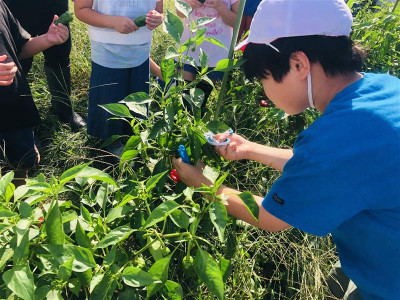 1d843577-e558-4a34-8561-7c418d3b303d