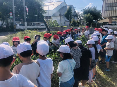 191a60b0-d3da-42da-a90d-e8092aa69aab