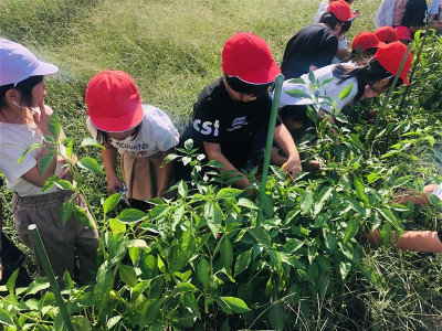 492d778d-0c47-4511-97e3-93172e966cec