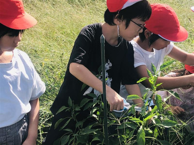 fc4c2417-b0dd-4a9e-a66f-e580d084ec12