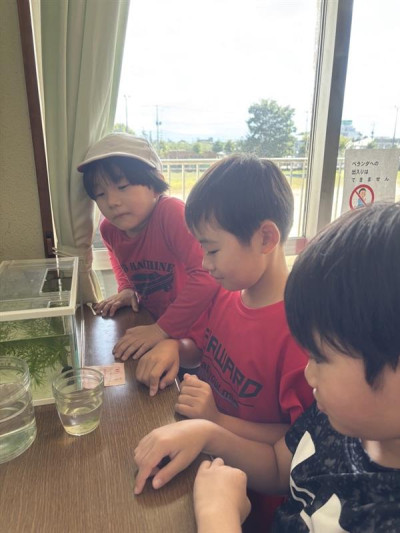 69e87914-bc86-4122-8d99-c1a46842e982