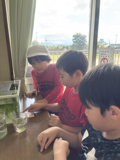 fcaa9196-992d-4345-9987-677ab075f384