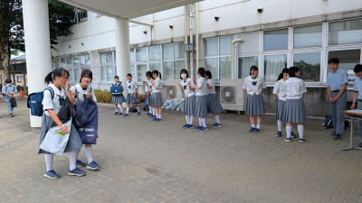 PXL_20250629_225558463.MP