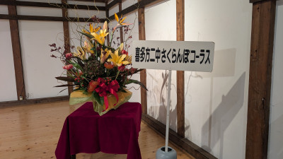 PXL_20251116_045017931