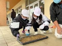 4月14日種まき 4月14日種まき