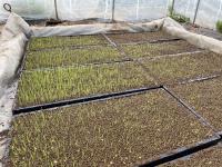 4月26日の様子 4月26日の様子