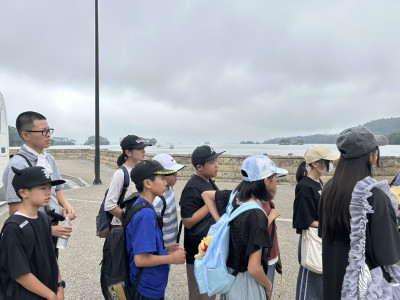 6D87543BA822624278B564F7C2DB87B533B27965