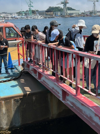 F3B58EB58BDAE6AEA2A82B9C4464AA59FBFAAA42