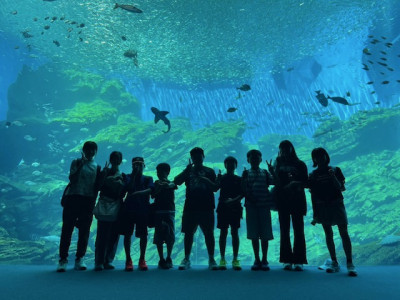 5D38149E879E18B1F821489FFBA3F1C7F0BF9088