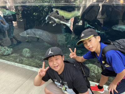 561986FAEBD4202CF191A99E7DC7A7C0EA1339BB