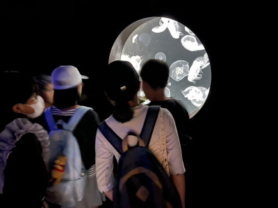 ED6649B7DBCB14FD6D29B169027203AD0E1A0495