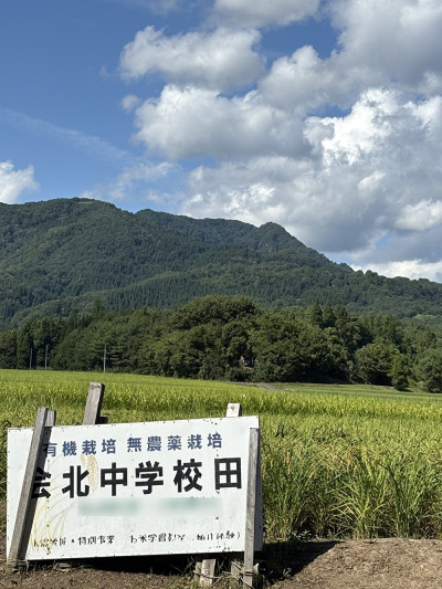 FHwGJWOwUX587PK1756360852_1756360942