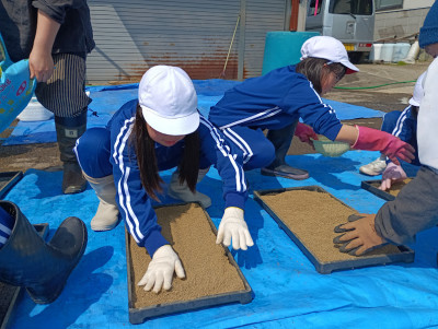 IMG_20250417_094513_1