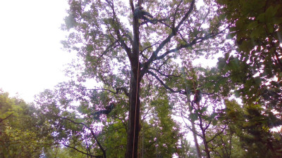 WIN_20250911_10_50_28_Pro