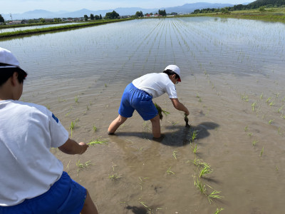 IMG_9799 - コピー