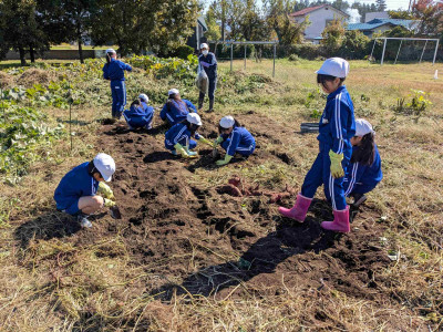 PXL_20251024_014843610.MP