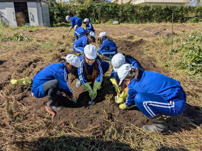 PXL_20251024_014908283.MP