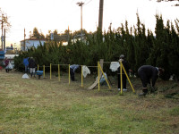 PXL_20251114_214102445