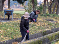 PXL_20251114_214338746.MP