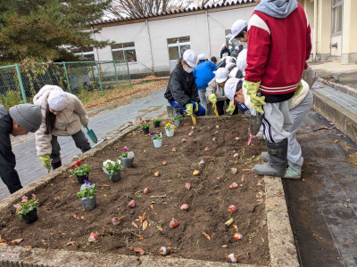 PXL_20251117_004451551.MP