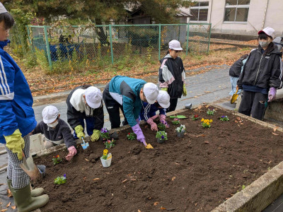 PXL_20251117_005139291