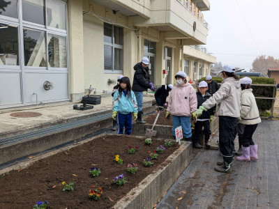 PXL_20251117_005241202